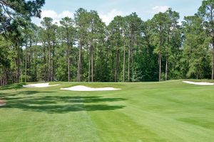 CC Of NC (Dogwood) 12th Approach